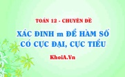 Xác định m để hàm số có cực đại cực tiểu - Toán lớp 12